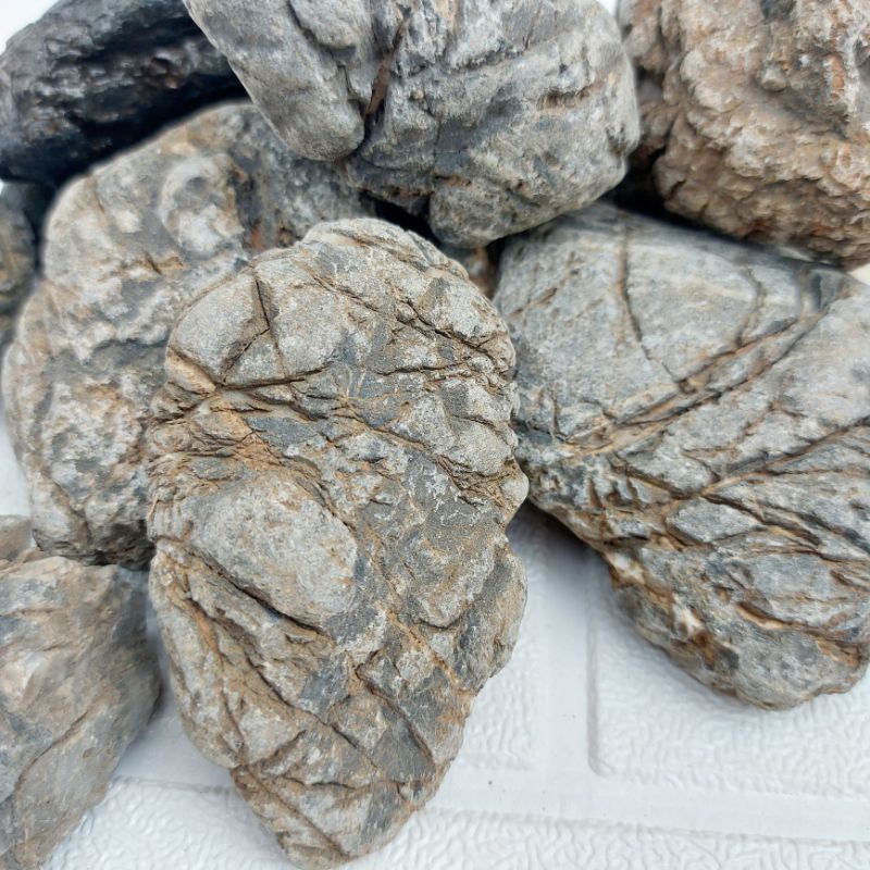 Jual Batu turley turly stone hiasan akuarium AQUASCAPE hardscape ...