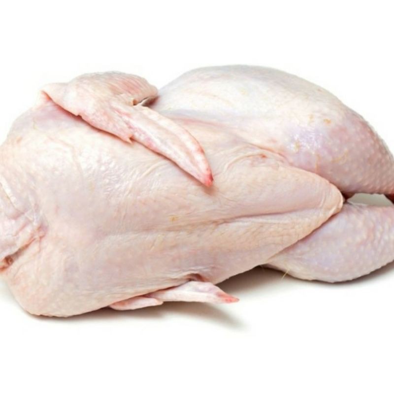 Jual ayam karkas 0.6 -0.7 | Shopee Indonesia