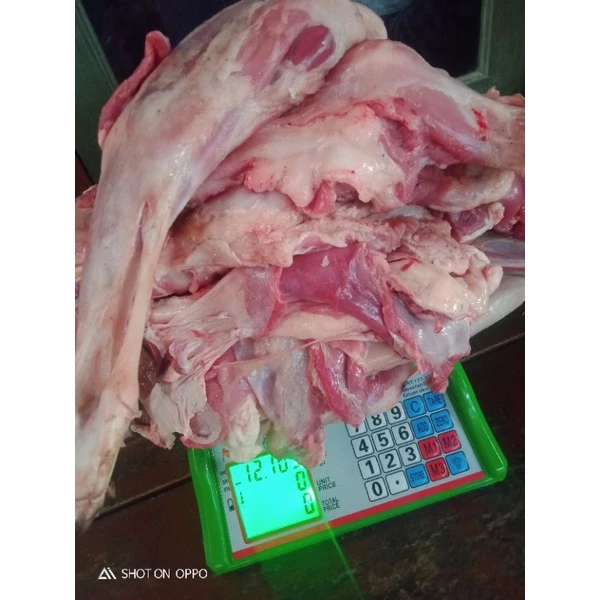 daging domba muda bagiab paha dijamin fresh segar 1kg