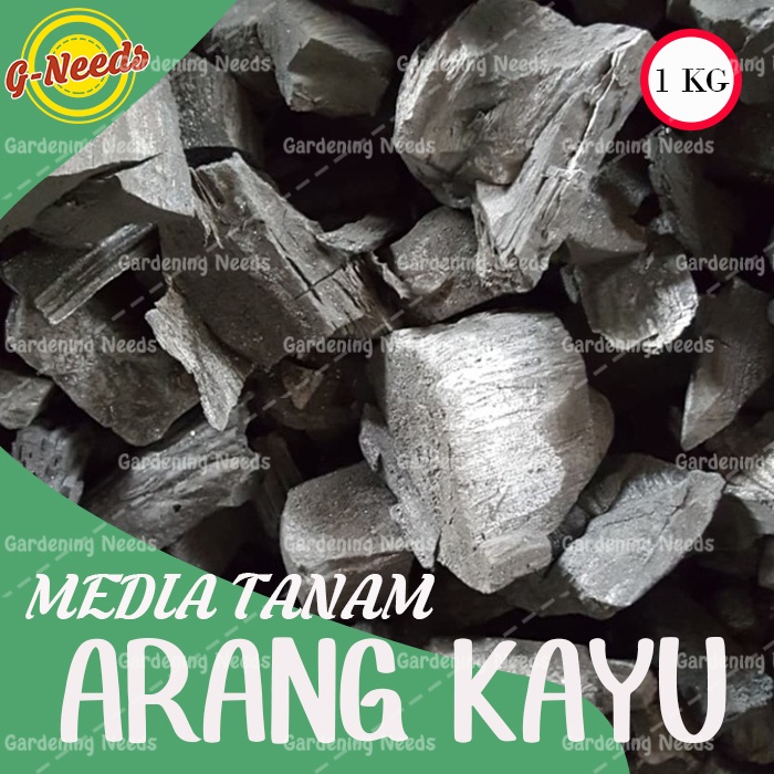 Jual Media Tanam Arang Anggrek Areng Anggrek 1 Kg Shopee Indonesia 3857