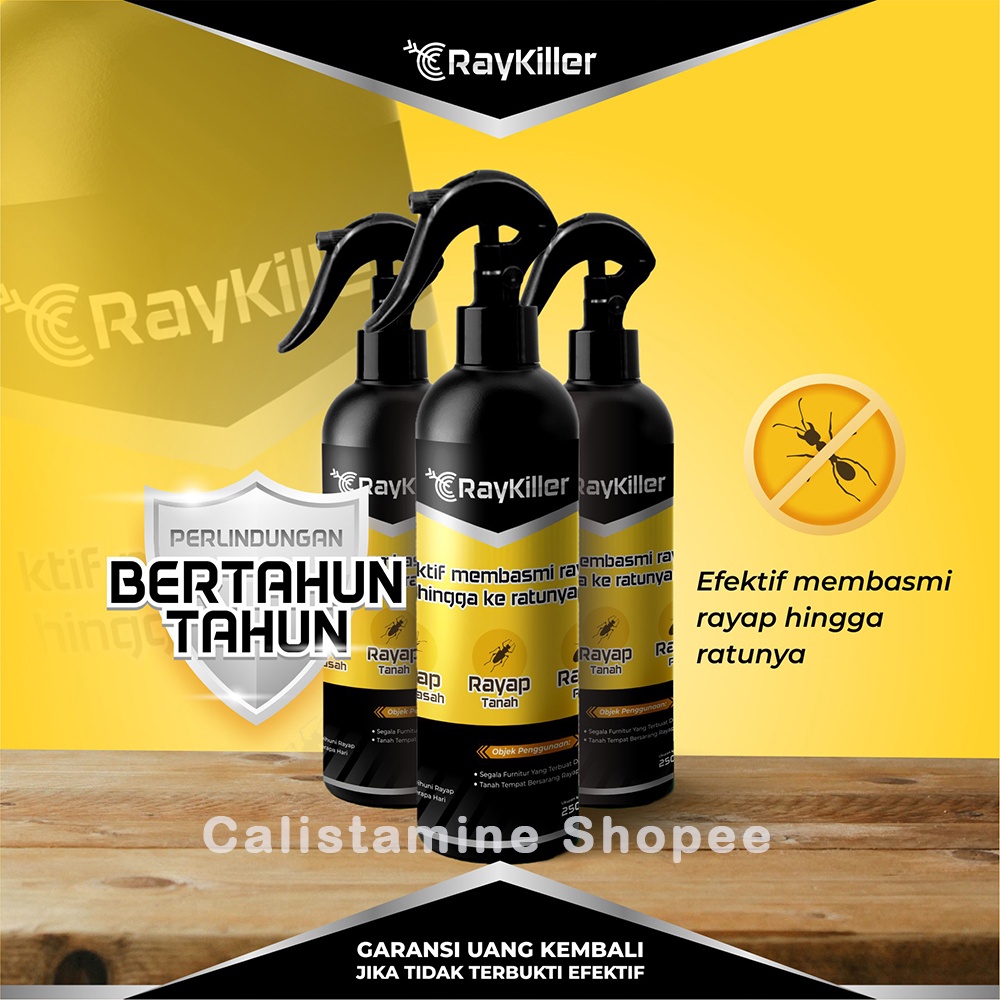 Jual RayKiller Obat Pembasmi Rayap Spray Efektif Melindungi Furnitur ...