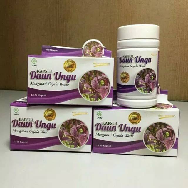 Jual Kapsul Daun Ungu Obat Wasir 50 Kapsul | Shopee Indonesia