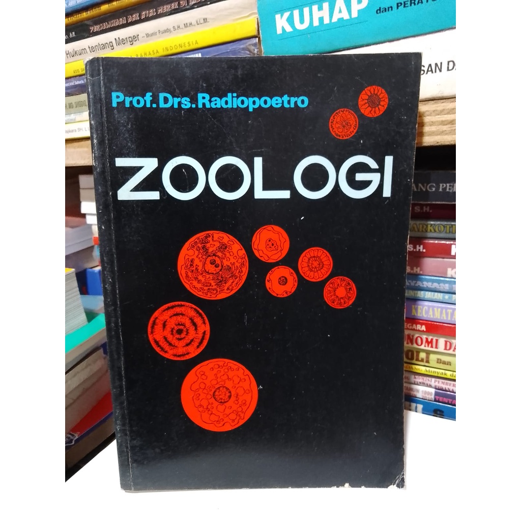 Jual ZOOLOGI (ORIGINAL) | Shopee Indonesia