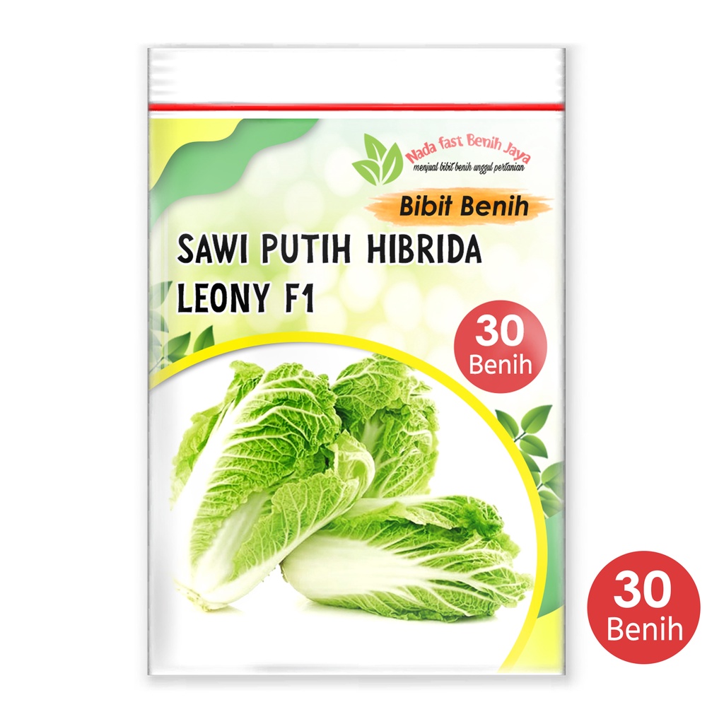 Nada fast benih jaya - 30 biji benih bibit sawi putih - Bibit Sayuran Slobor