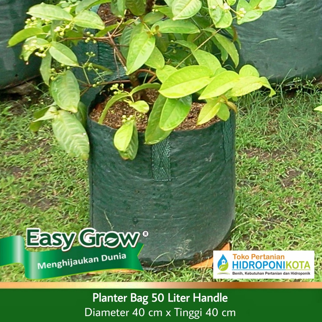 Planterbag Easy Grow Standart – Planter Bag
