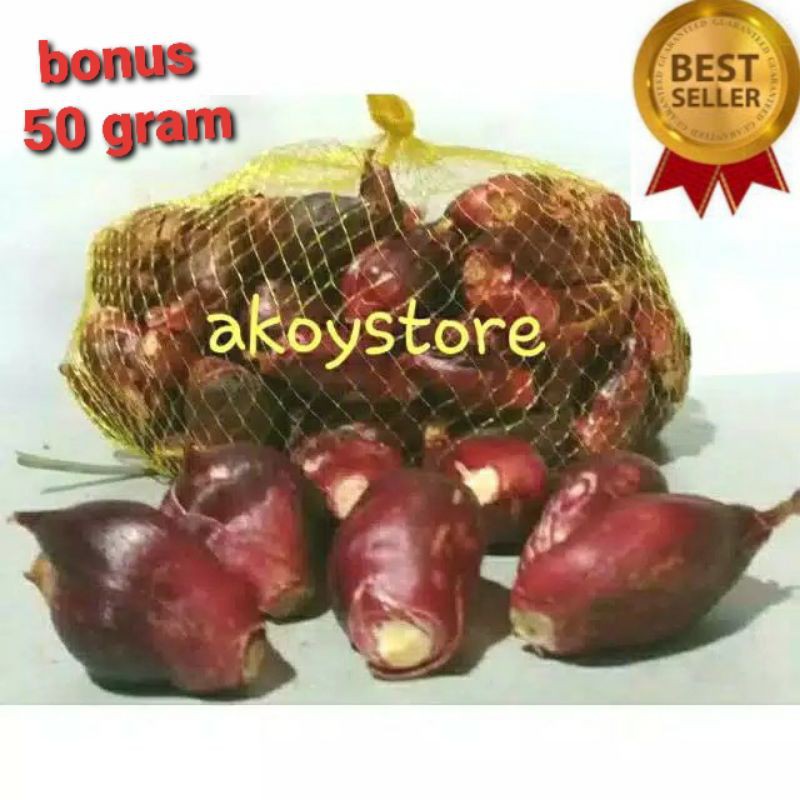 Jual Bawang Dayak Segar 1kg Shopee Indonesia