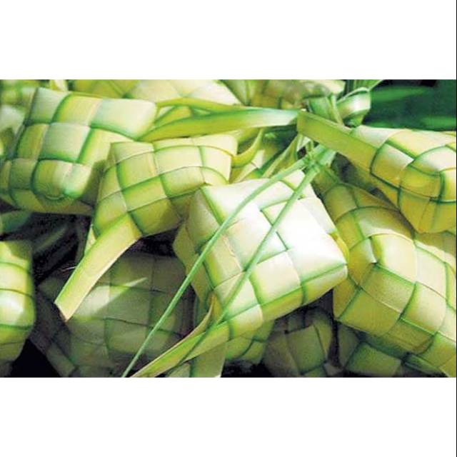 Jual Cangkat Ketupat Wadah Ketupat Kosong Daun Janur Muda Segar