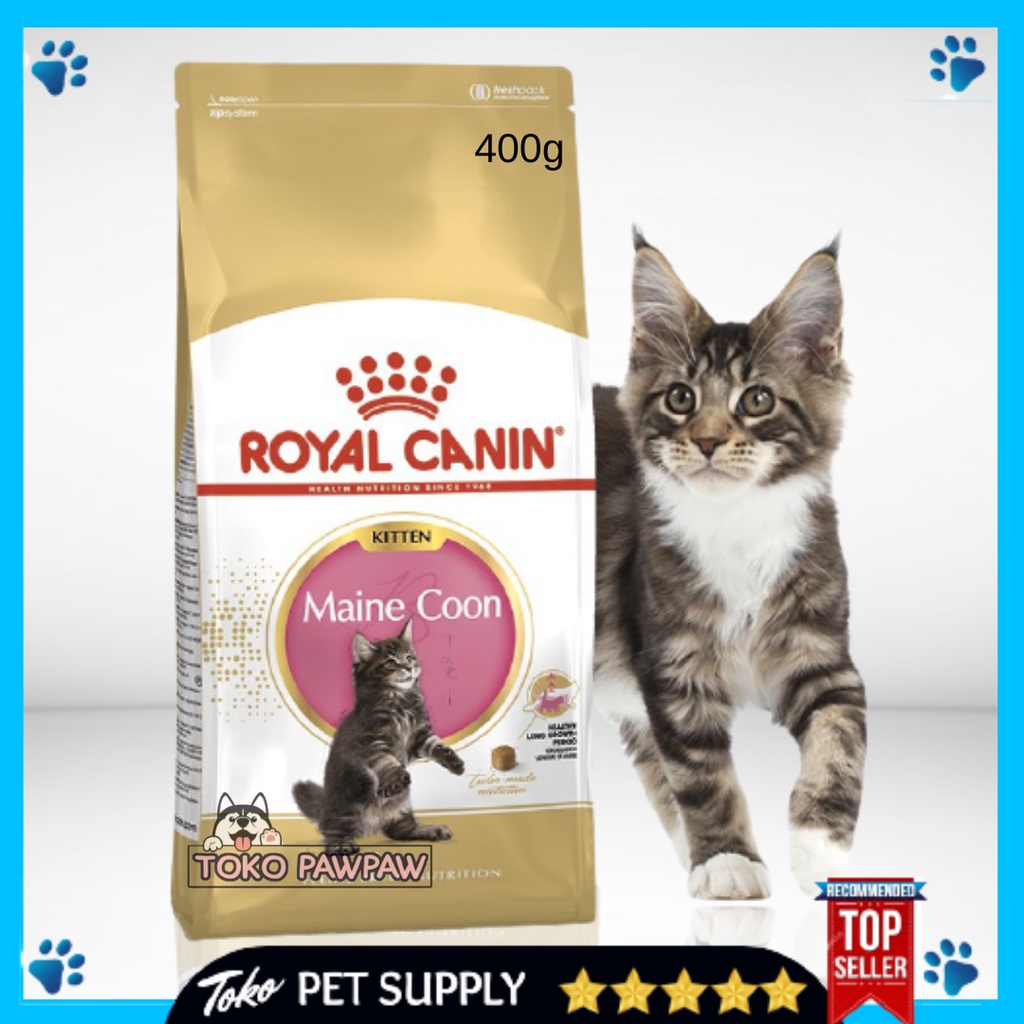 Jual Royal Canin Kitten Maine Coon 400g Makanan Anak Kucing Cat Food ...