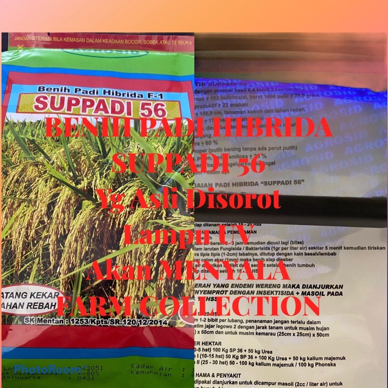 Jual SUPPADI 56 F1 SUPADI 56 EXP. SEPT 2026 DK:80% ORI ORIGINAL ASLI ...