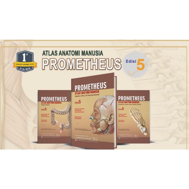 Jual [original] Prometheus Atlas Anatomi Manusia (3 Jilid) | Shopee ...