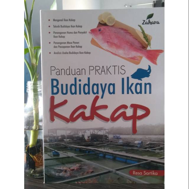 Jual Panduan Praktis Budidaya Ikan Kakap - Resa Sartika | Shopee Indonesia