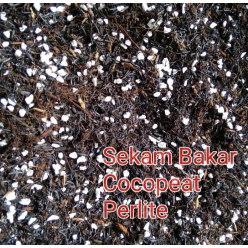 Media Tanam Organik Cocopeat Sekam Bakar dan Perlite