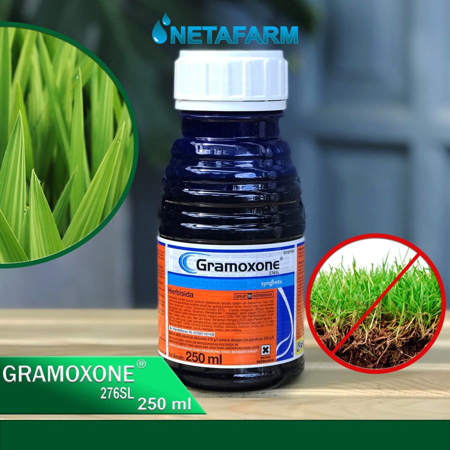 Jual Herbisida Gramoxone 276sl Pembasmi Rumput Liar Gulma Ilalang