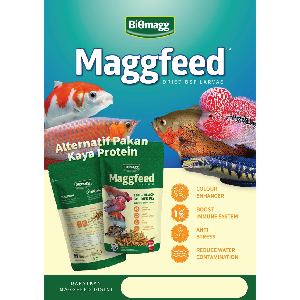 Produk Biomagg | Shopee Indonesia