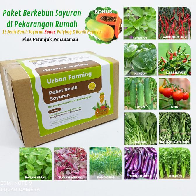 Jual Paket Benih Sayuran 13 Jenis tanaman pekarangan rumah KOMPLIT
