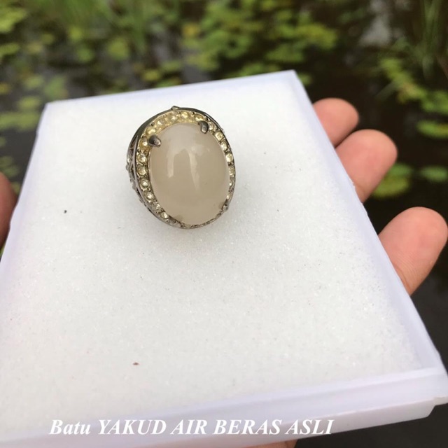 Jual Batu Yakud Air Beras Khas Kalimantan Selatan | Shopee Indonesia