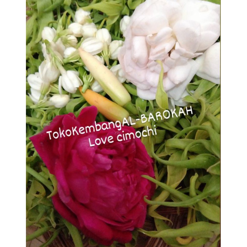Jual Bunga Kembang Liman Bunga Setaman Asli Segar | Shopee Indonesia