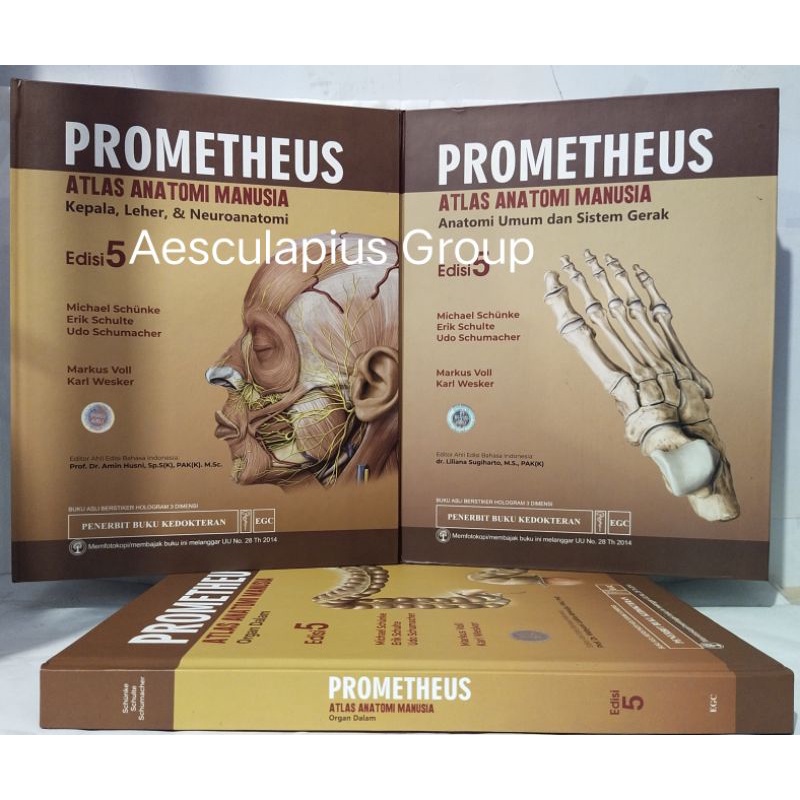 Jual 100% Atlas Anatomi Manusia Prometheus Ed.5 | Shopee Indonesia