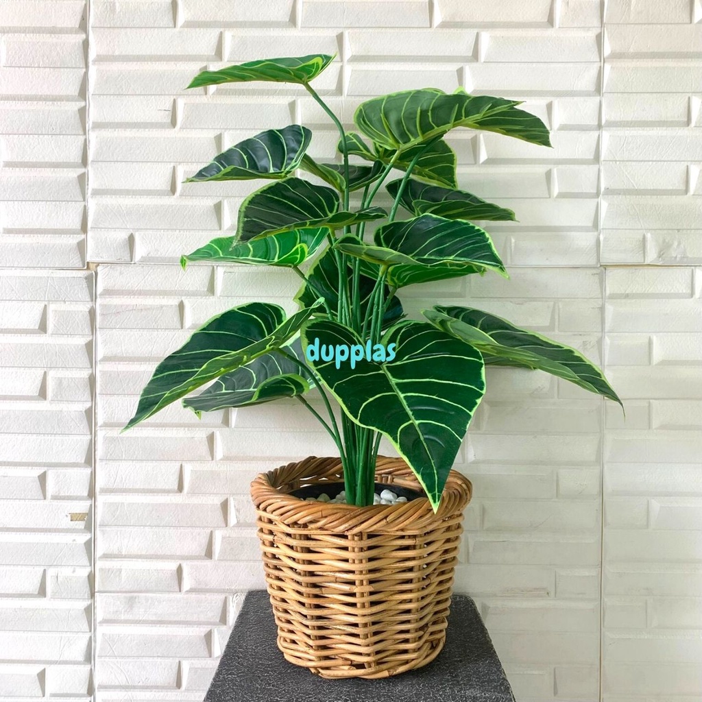 Jual Pohon Daun Alocasia X Semi Latex Artificial Cover Pot Rotan Small Tanaman Hias Plastik