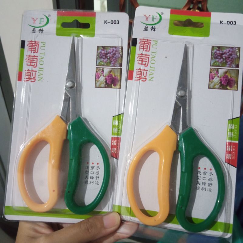 Jual Gunting Pruning Bonsai Pruning Daun Anggur 16 Cm Stainless Steel ...