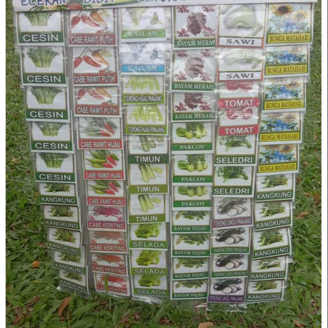 Bibit benih tanaman hidroponik/polibag