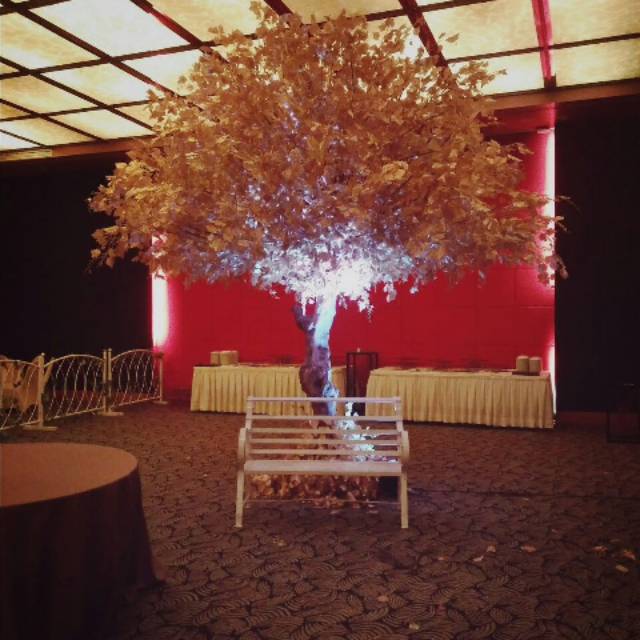Jual POHON WEDDING HIAS DEKORASI MAPLE GOLD | Shopee Indonesia
