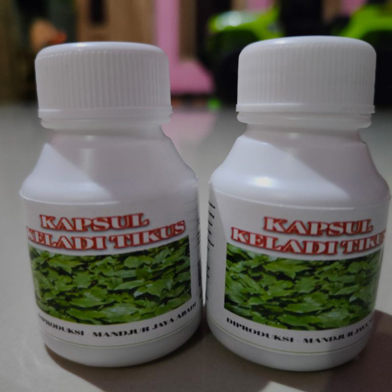 KAPSUL KELADI TIKUS AMPUH ATASI KANKER DAN TUMOR