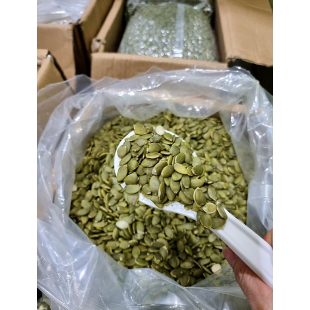 Jual BIJI LABU//PUMPKIN SEED 500gr | Shopee Indonesia