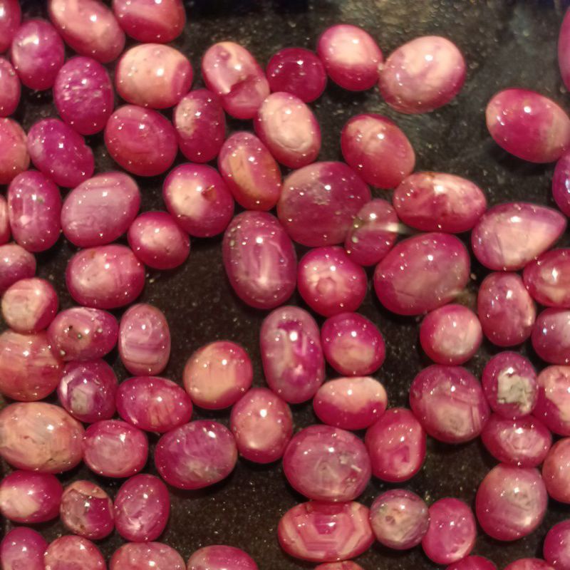 Jual Ruby daging | Shopee Indonesia