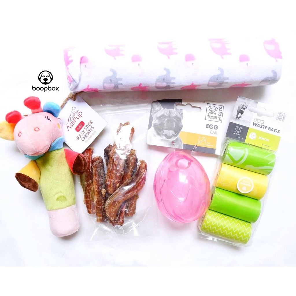 Jual Boop Box Dog Birthday Gift - Kado Ulang Tahun Anjing (Small Dog ...