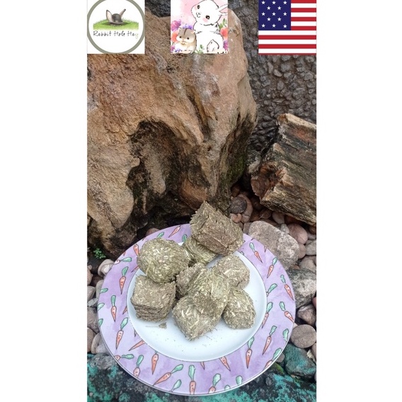 Jual Timothy Hay Cube Rabbit Hole USA | Shopee Indonesia