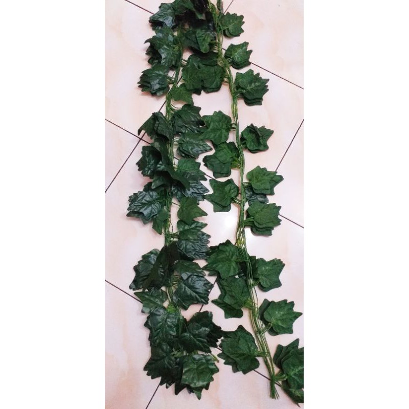 Jual daun rambat panjng uk 2 meter | Shopee Indonesia