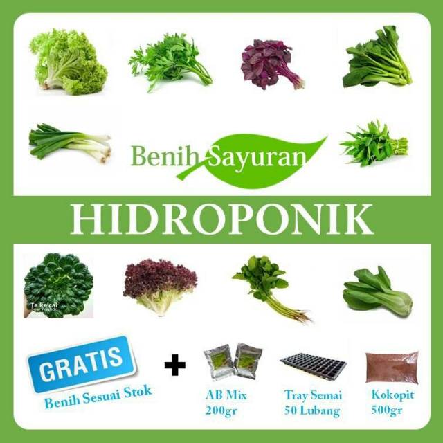 Jual Paket Benih Sayuran Hidroponik A | Shopee Indonesia
