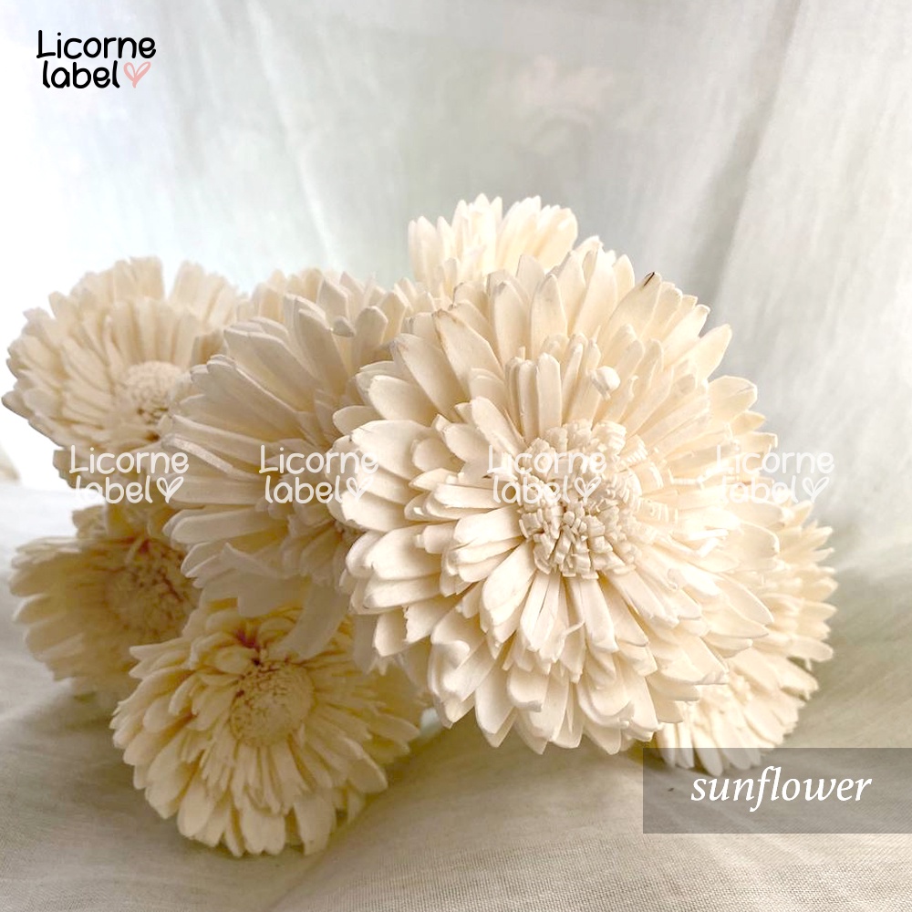 Jual Sola Wire Flowers / Stick Bunga Sola Reed Diffuser / Bunga Kering ...