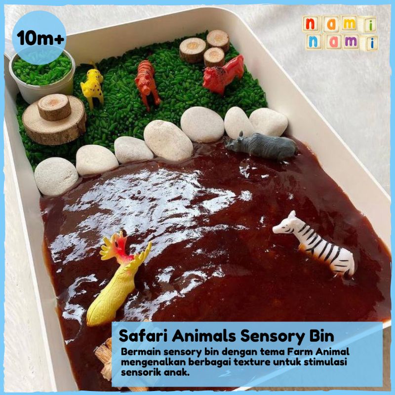 Jual Mainan Edukasi Sensory Toys Sensory Bin Sensory Play Mainan ...