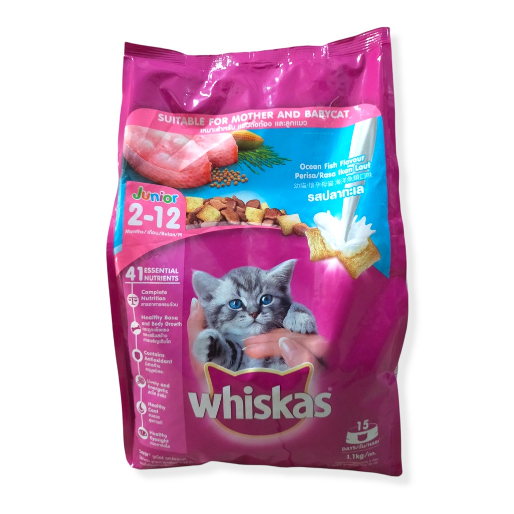 Jual Whiskas Junior 1,1 kg Shopee Indonesia