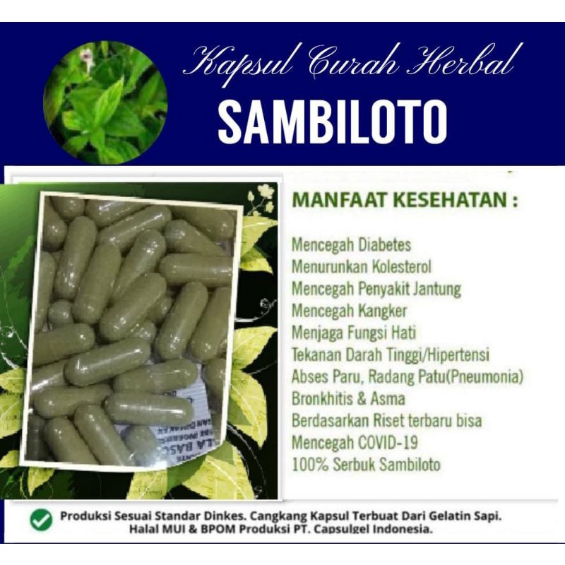 Jual Serbuk Daun Sambiloto Obat Herbal (isi 100 Kapsul) | Shopee Indonesia