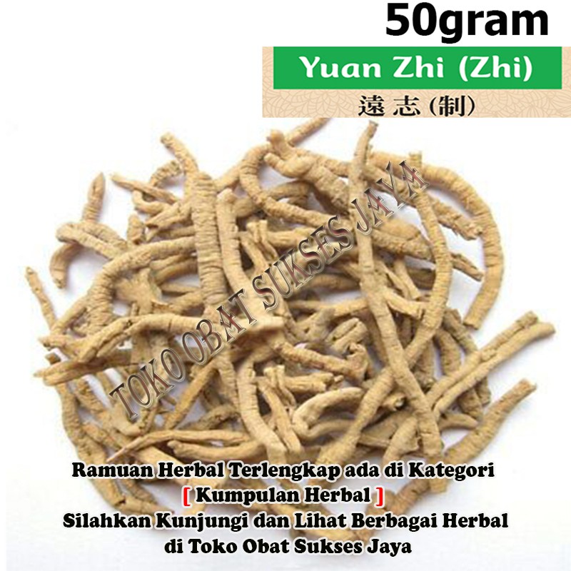 [50gram]  Yuan Zhi / Chinese Senega Root - Radix Polygalae Tenuifoliae