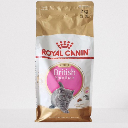 Royal canin british shorthair 2024 2kg