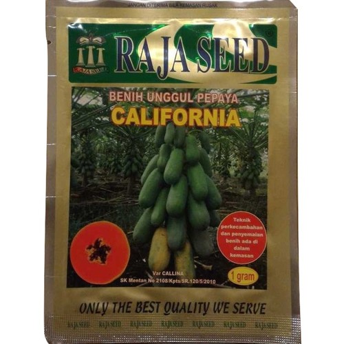 Jual Bibit Benih Biji Raja Seed Pepaya California | Shopee Indonesia