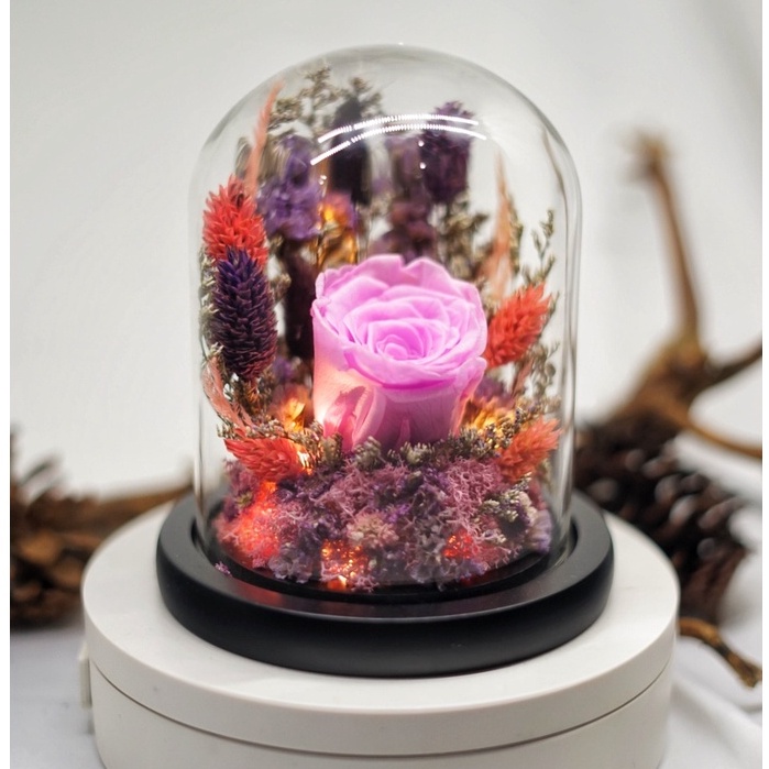 Jual Flower Glass Dome Dorana Florist Bunga Mawar Rose Built In Led Kado Ulang Tahun Kado 7661