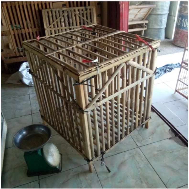 Jual Kandang Ayam Bangkok Rakitan Shopee Indonesia 4401