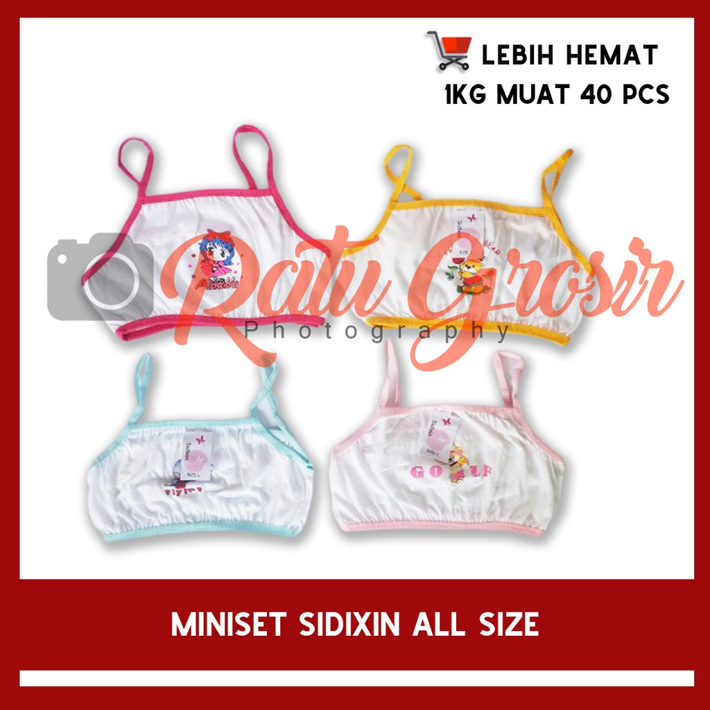 Jual Miniset SD SMP SMA Remaja Sidixin – Ratu Grosir | Shopee Indonesia