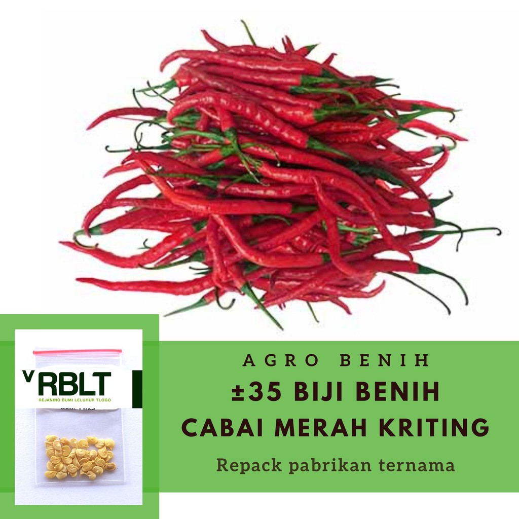 Jual 35 Bibit Cabe Keriting Merah Unggul Benih Cabai Super Sempurna