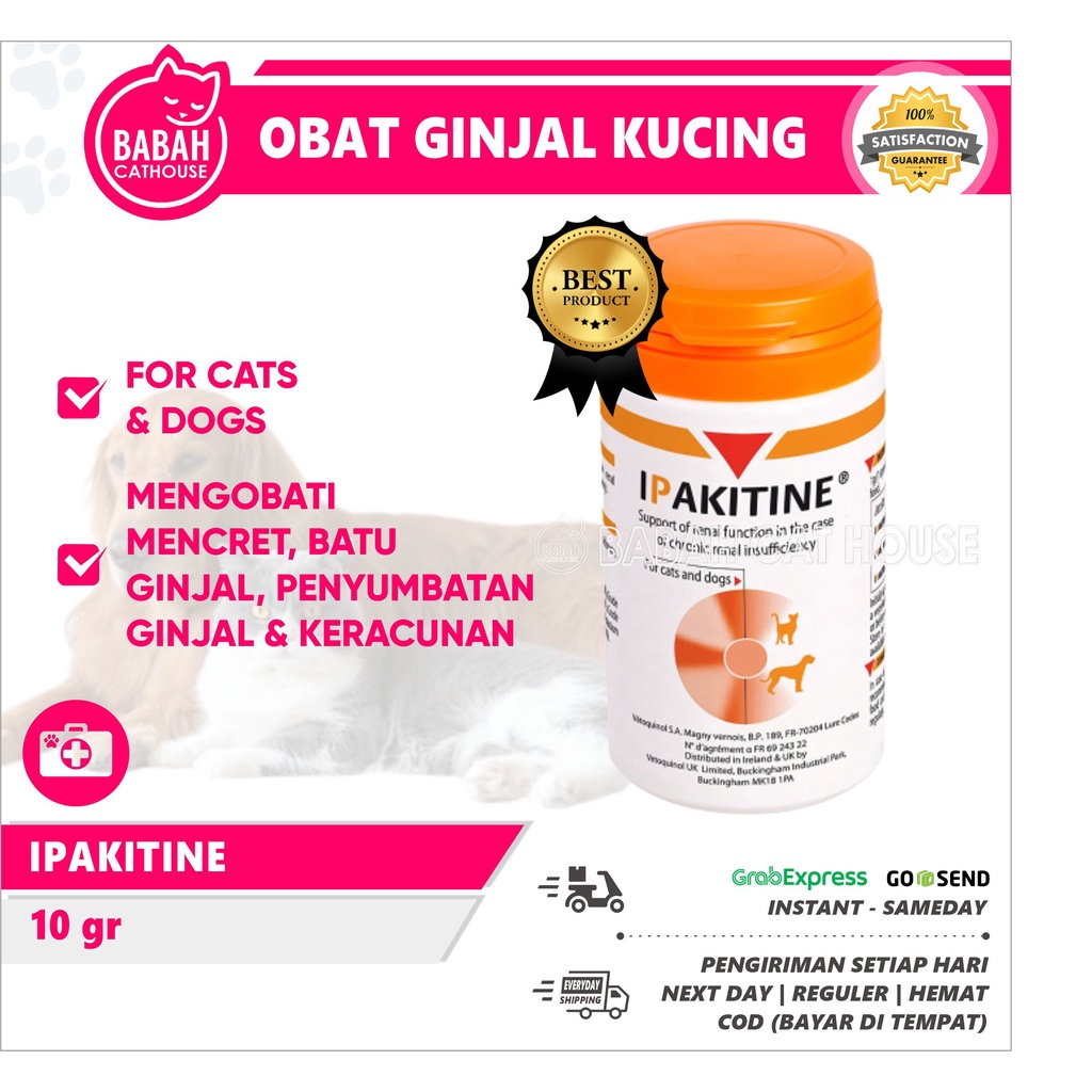 Ipakitine cat outlet