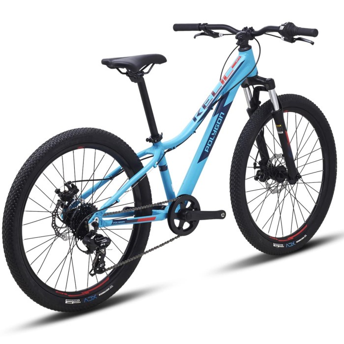 Jual Sepeda Gunung Anak Remaja Polygon MTB 24 Relic | Shopee Indonesia
