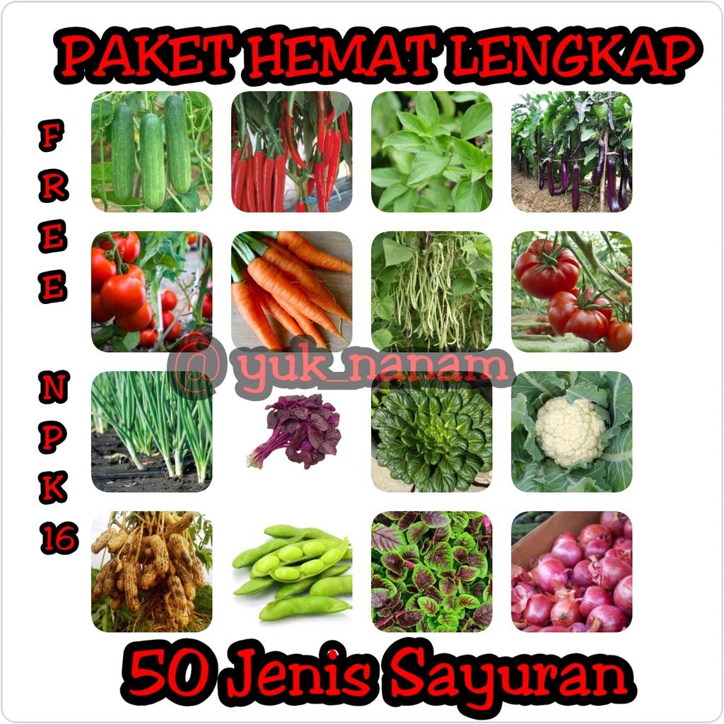 Jual Bibit Sayuran Paket Komplit 50 Macam Benih Sayuran Unggul Kangkung ...