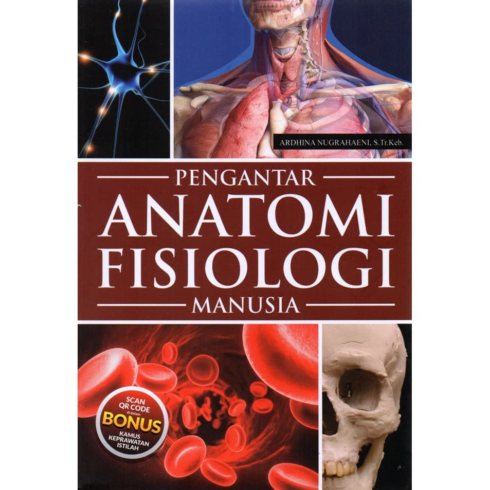 Jual BUKU PENGANTAR ANATOMI FISIOLOGI MANUSIA | Shopee Indonesia