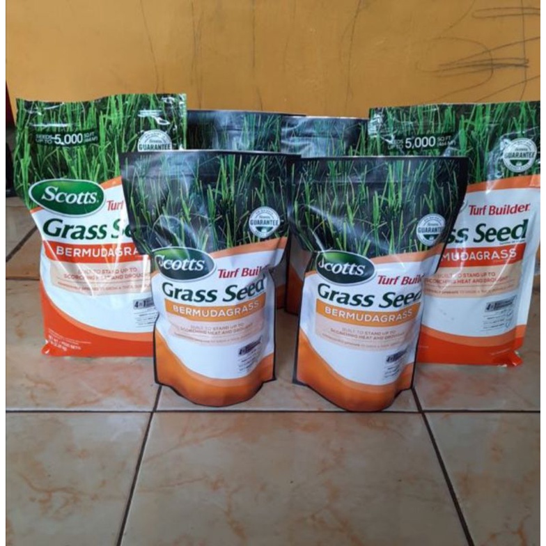 Jual Benih Rumput Bermuda Grass 1kg Shopee Indonesia