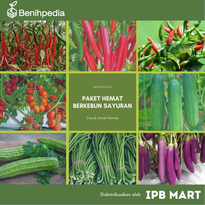 Jual Tanaman Bibit Benih Ipb Mart Paket Benih Belajar Berkebun